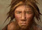 Le dernier Neandertal vivait-il prs du ple Nord ?