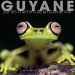 GUYANE - Sur les chemins de la biodiversit